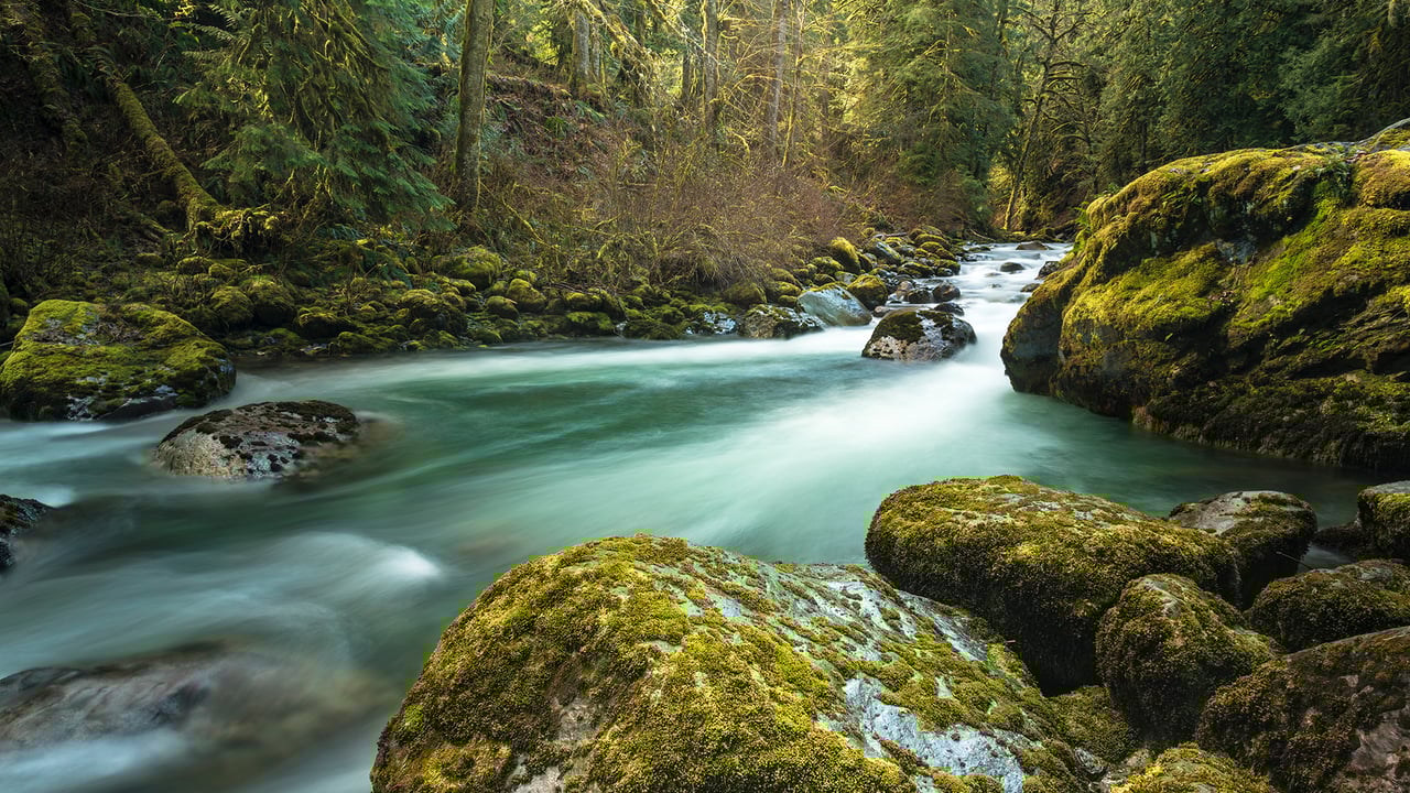 Tamihi Creek, British Columbia, Canada (© Jason Wilde/TANDEM Stills + Motion) desktop wallpaper