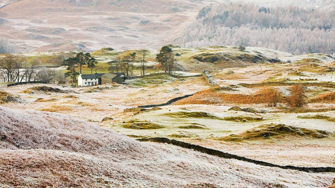 Hoar frost on vegetation near Coniston, Lake District (© Ashley Cooper/Getty Images) desktop wallpaper