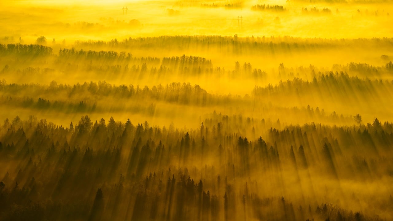 Sunbeams across Tartu County, Estonia (© Sven Zacek/Minden Pictures) desktop wallpaper