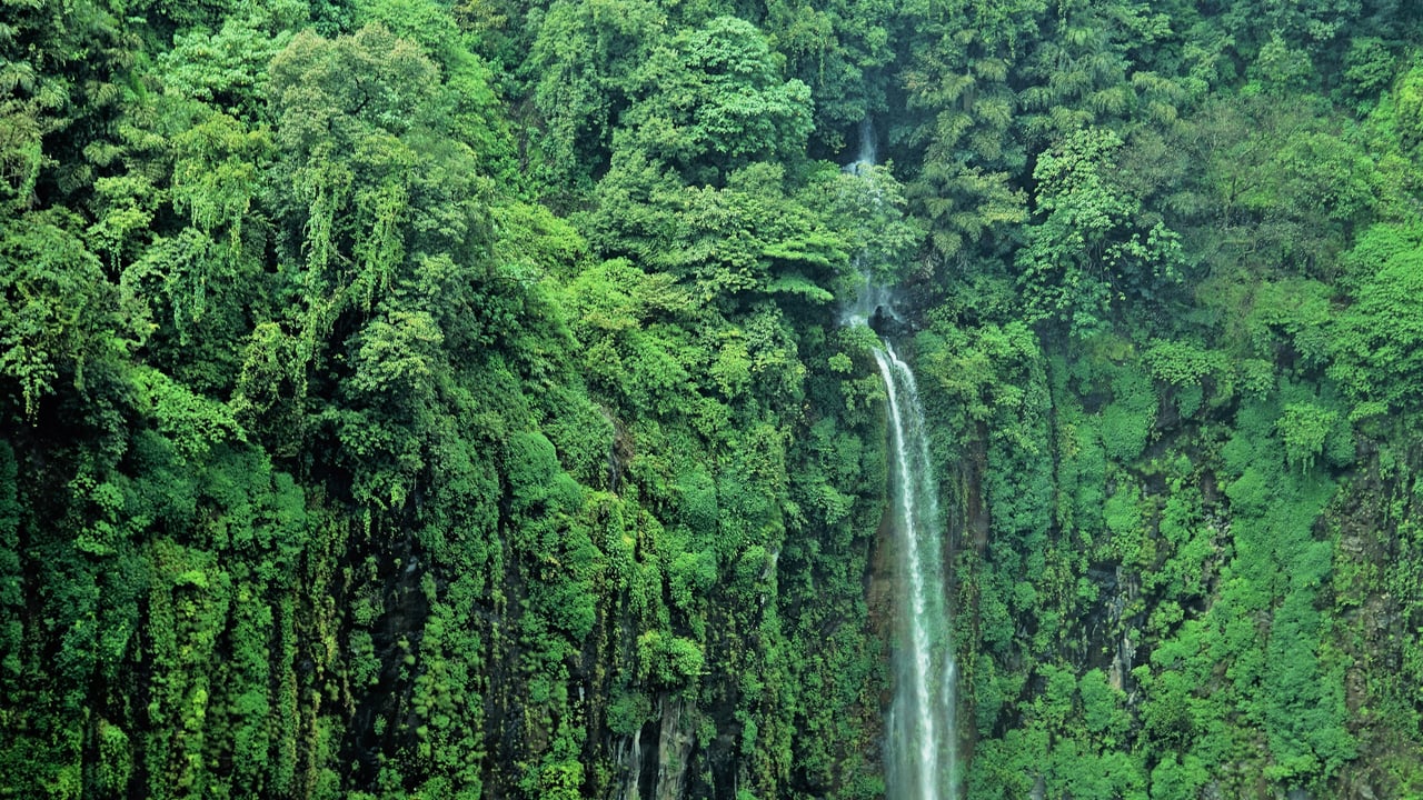 托塞加尔瀑布,印度马哈拉施特拉邦 (© Sonali Kumar/iStock/Getty Images Plus) desktop wallpaper
