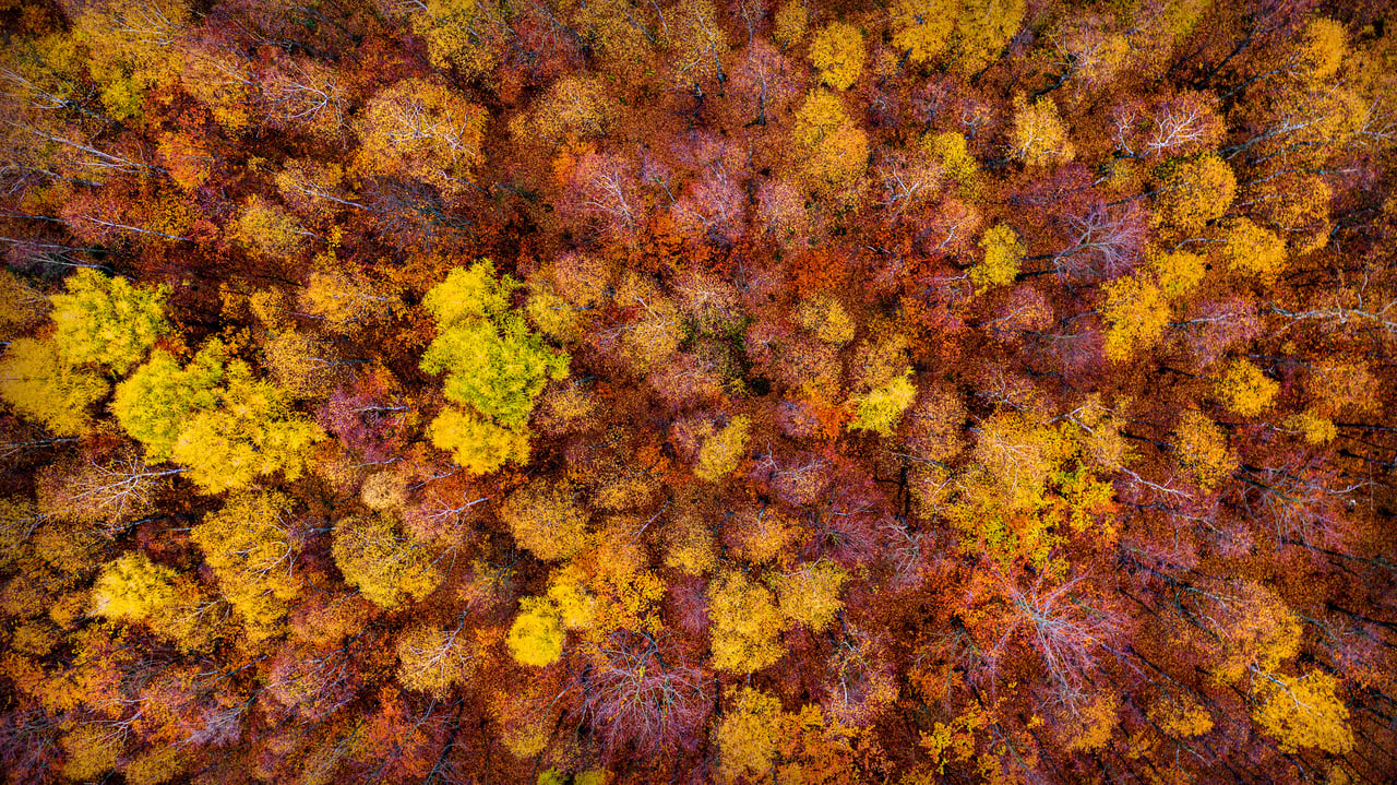 Bohemian Switzerland National Park near Tisá, Czech Republic (© Amazing Aerial Agency/Offset) desktop wallpaper