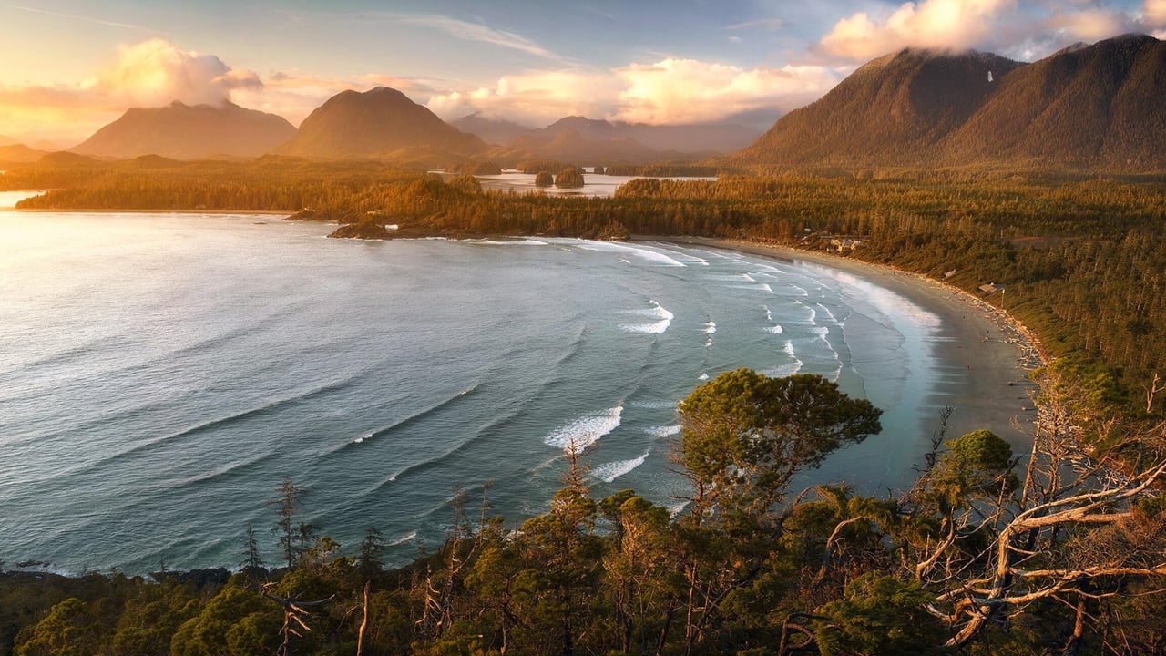 View of Tofino Bay, Vancouver, B.C. (© Ben Kotenberg/Shutterstock) desktop wallpaper