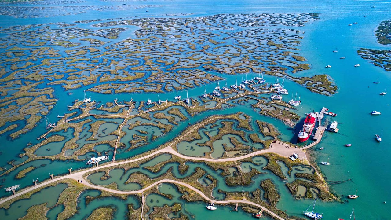 Boats in Tollesbury Marina, Essex (© Geoffrey Robinson/Alamy Stock Photo) desktop wallpaper