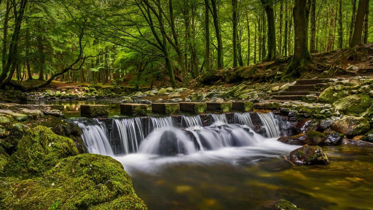 Stepping stones in Tollymore Forest Park, County Down, Northern Ireland (© Chris Curry/500px) desktop wallpaper