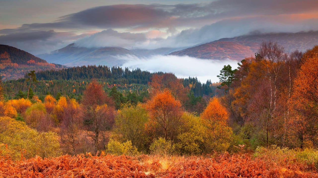 The Trossachs National Park in autumn, Stirling, Scotland (© Jon Arnold/Danita Delimont) desktop wallpaper