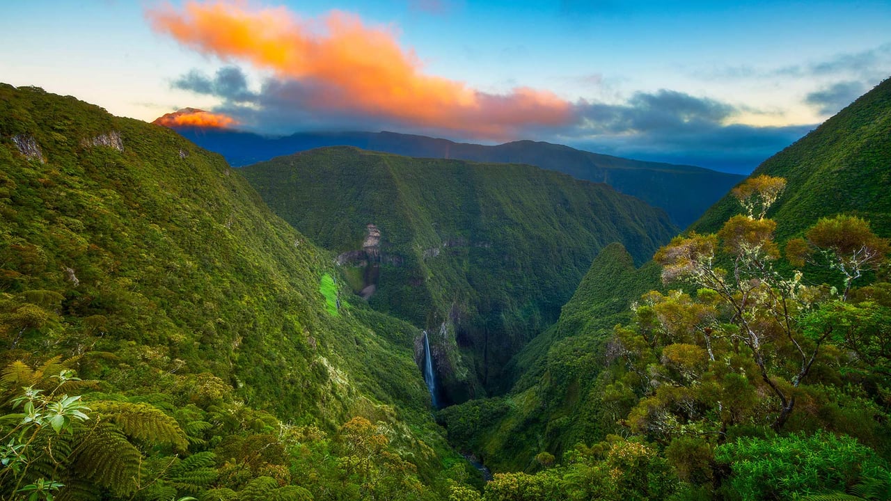 Trou de Fer dans le Piton des Neiges sur l’île de la Réunion à l’occasion de la fête réunionnaise de la liberté (© Gabriel Barathieu/Biosphoto/Alamy Stock Photo) desktop wallpaper