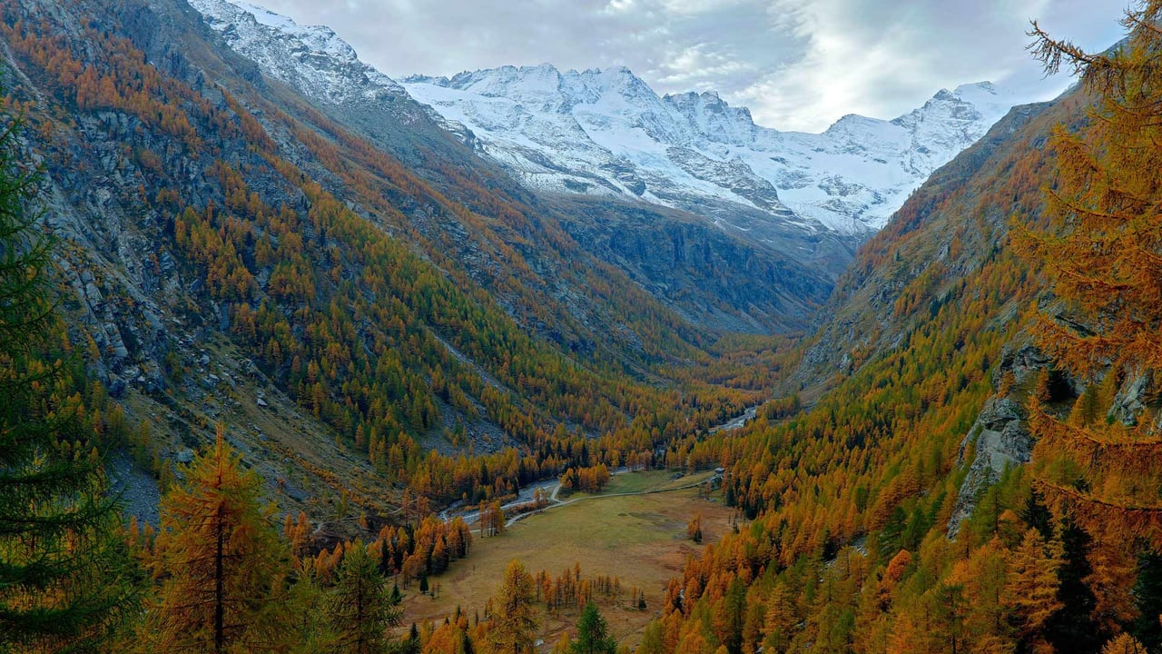 Gran Paradiso National Park, Italy (© Ondrej Prosicky/Alamy) desktop wallpaper