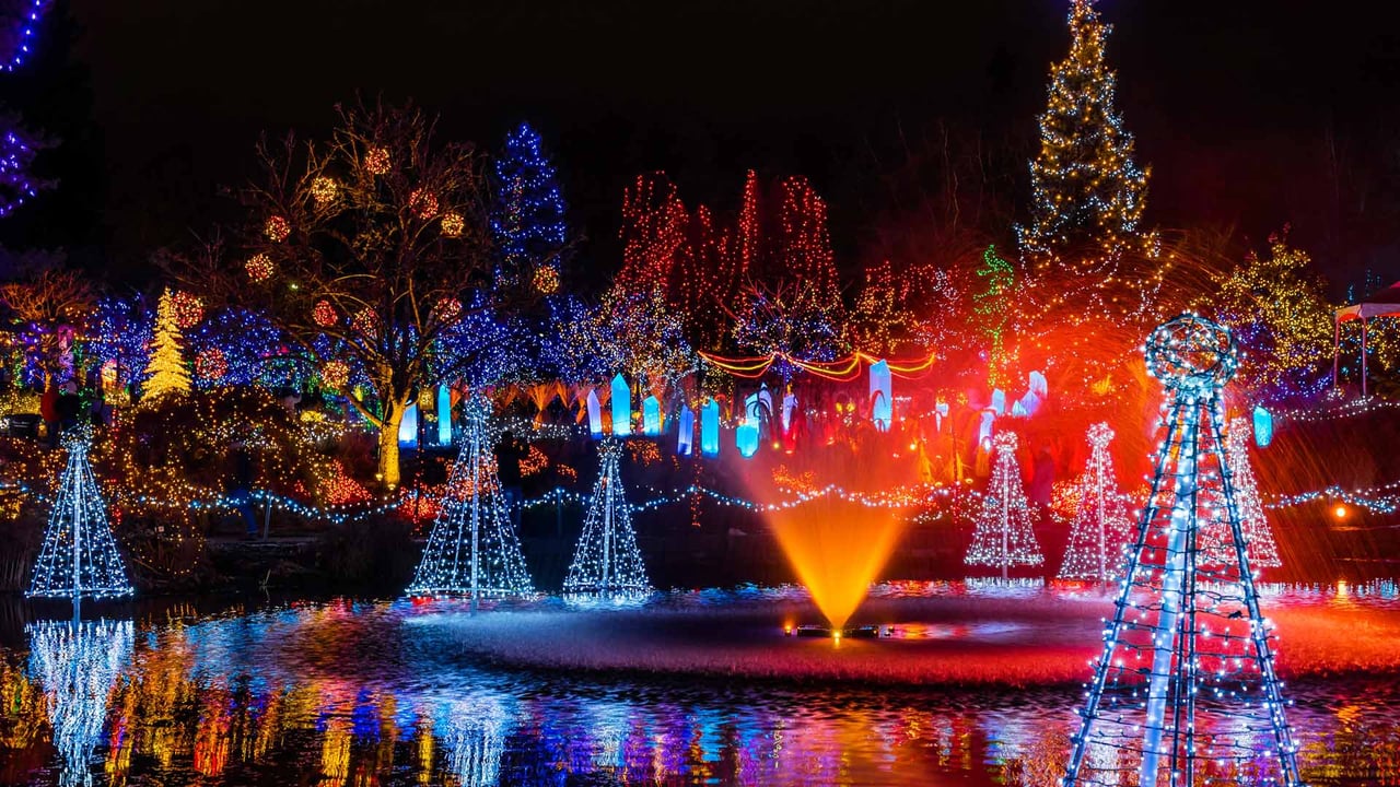 Festival of Lights, VanDusen Botanical Garden, Vancouver (© Wiliam Perry/Alamy Stock Photo) desktop wallpaper