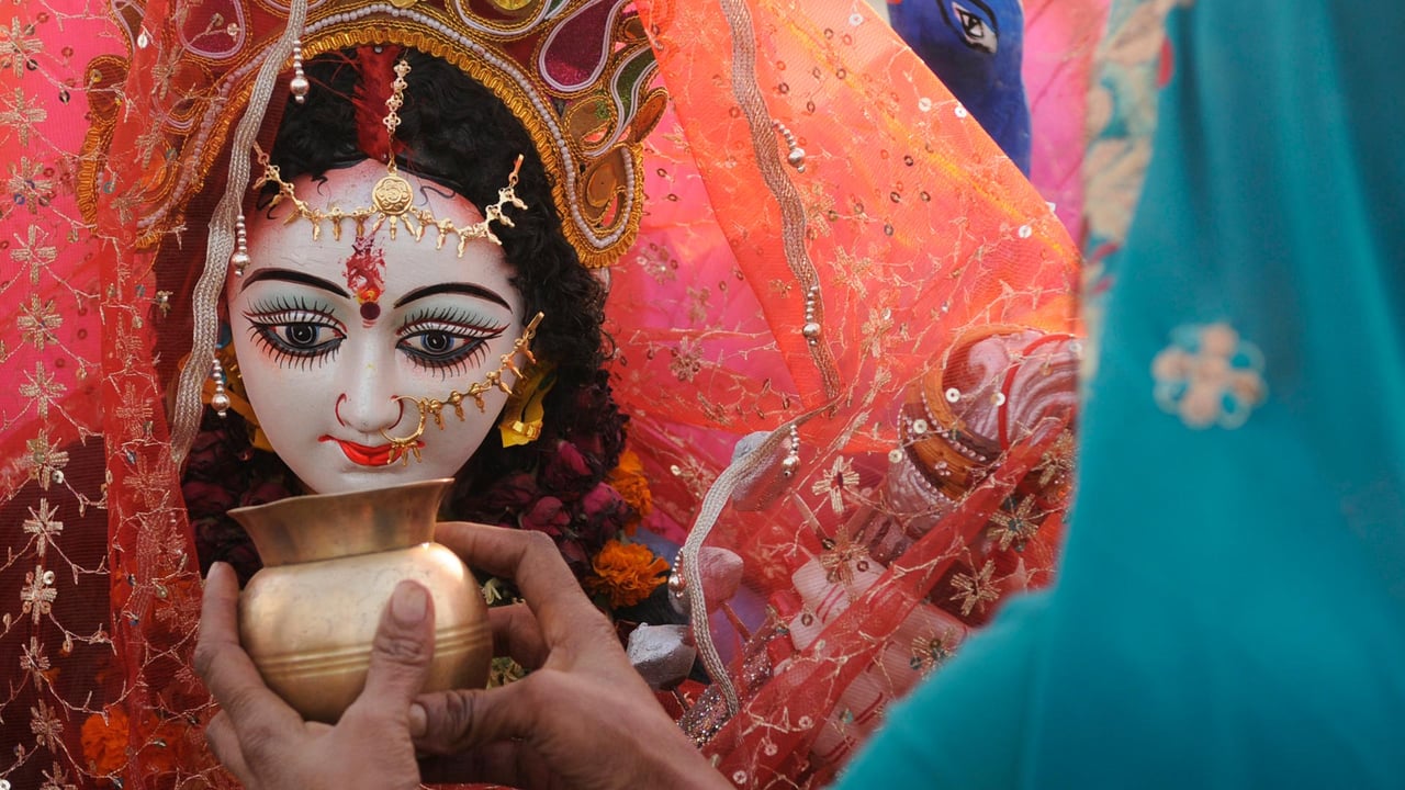 Vasant Panchmi celebration in Noida, India (© Burhaan Kinu/Hindustan Times via Getty Images) desktop wallpaper