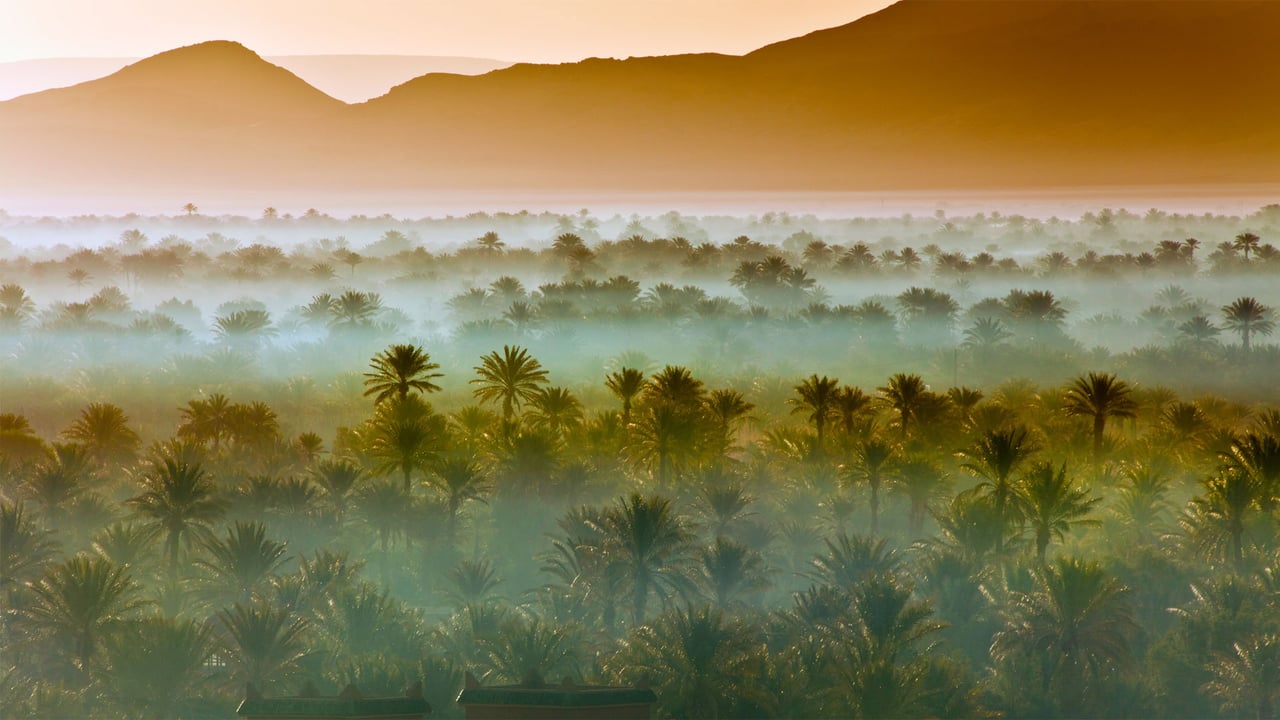 Date palm groves near Zagora, Morocco (© Frans Lemmens/Getty Images) desktop wallpaper
