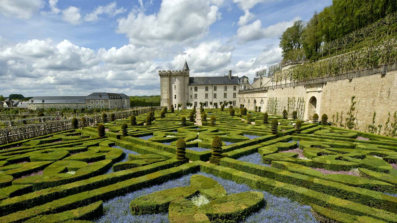 Château de Villandry and its garden, Loire Valley, France (© VLADJ55/Shutterstock) desktop wallpaper