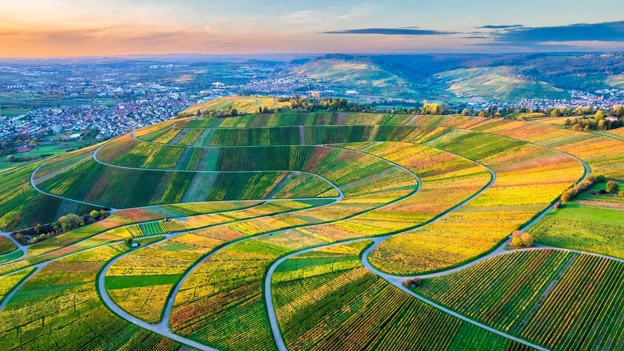 Drohnenansicht der Weinberge im Remstal, Baden-Württemberg (© Westend61/Getty Images) desktop wallpaper