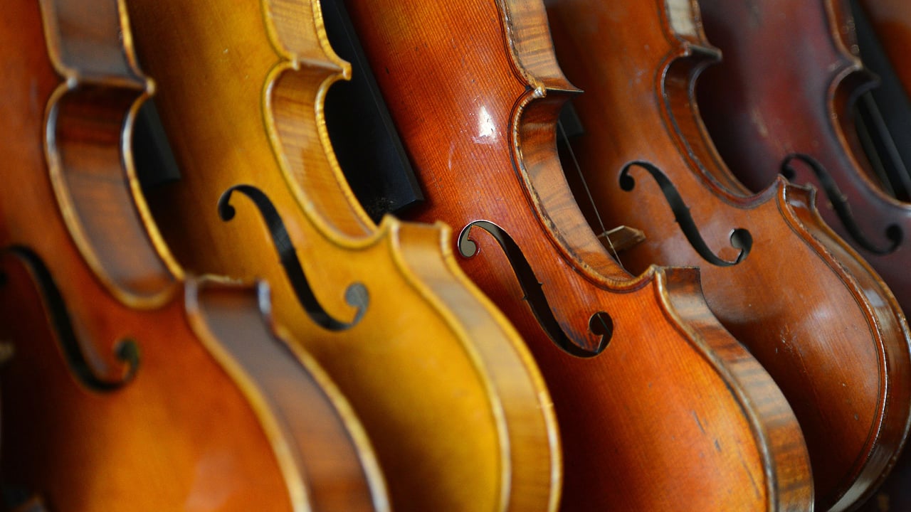 Violons exposés dans l’atelier du luthier français Mathias Menanteau, Rome, Italie (© Gabriel Bouys/AFP/Getty Images) desktop wallpaper