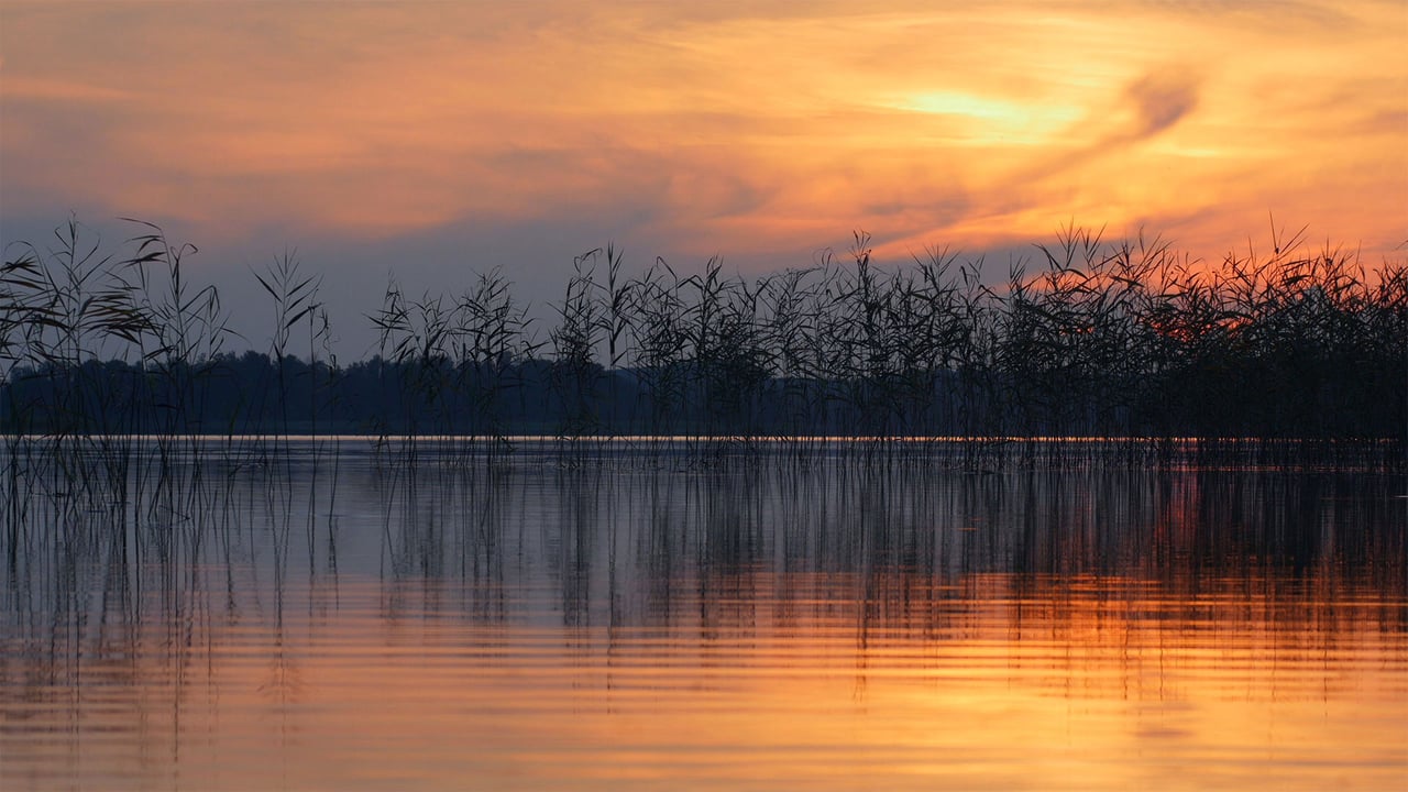 Ežezers Lake in the Latgale region, Latvia (© Eaglewood Films/Nimia) desktop wallpaper