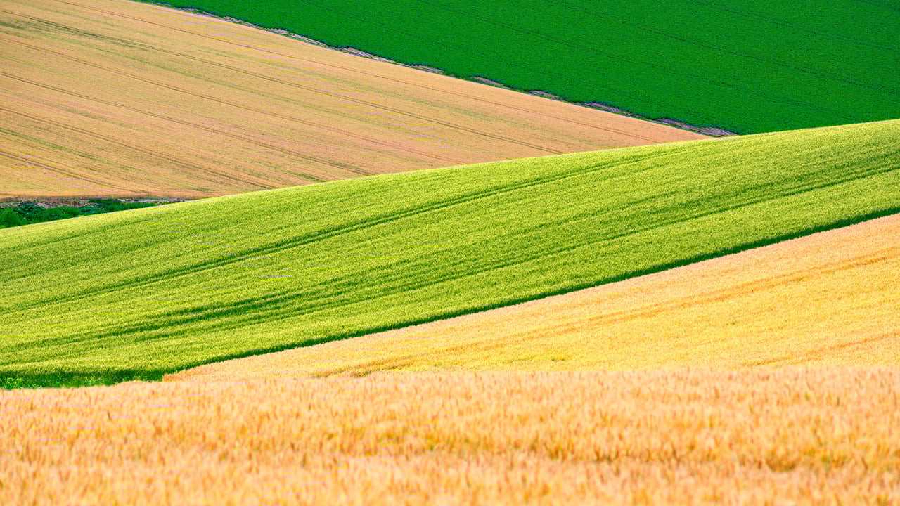 パッチワークの路, 北海道 美瑛町 (© DoctorEgg/Getty Images) desktop wallpaper