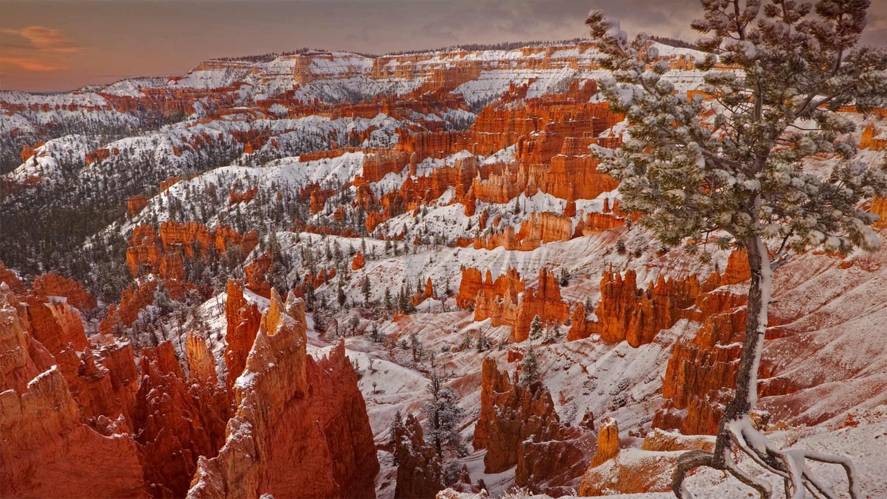 Winter in Bryce Canyon National Park, Utah (© Don Paulson/Danita Delimont) desktop wallpaper