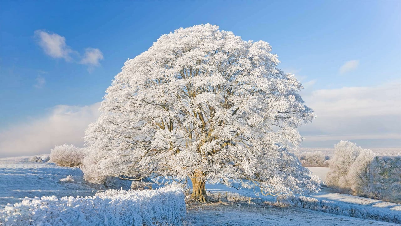 Cotswolds, England (© Peter Adams/Getty Images) desktop wallpaper