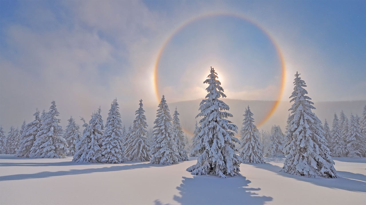 Halo around the sun in the Ore Mountains, Saxony, Germany (© Martin Ruegner/Getty Images) desktop wallpaper