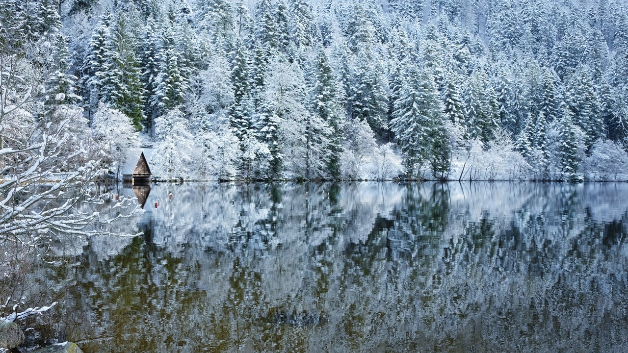 Le lac de Longemer dans les Vosges, Lorraine, France. (© art4stock/Shutterstock) desktop wallpaper