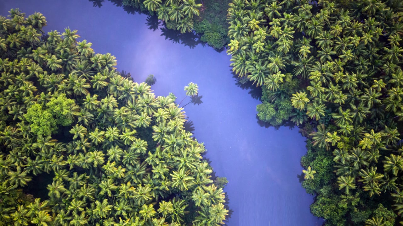 Xic Xelvona village in South Goa, India (© Brandon van Son/TANDEM Stills + Motion) desktop wallpaper