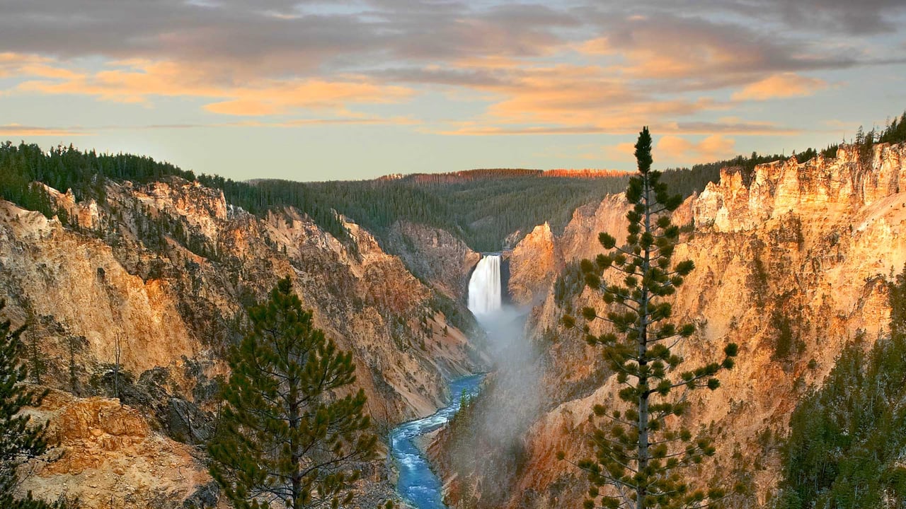 Lower Yellowstone Falls, Yellowstone National Park, Wyoming (© Tim Fitzharris/Minden Pictures) desktop wallpaper