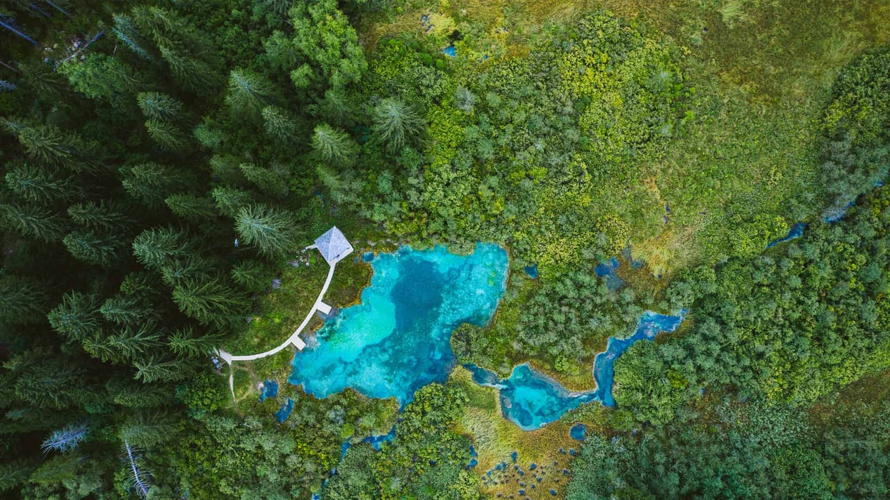 Zelenci Nature Reserve, Slovenia (© Andrey Danilovich/Getty Images) desktop wallpaper