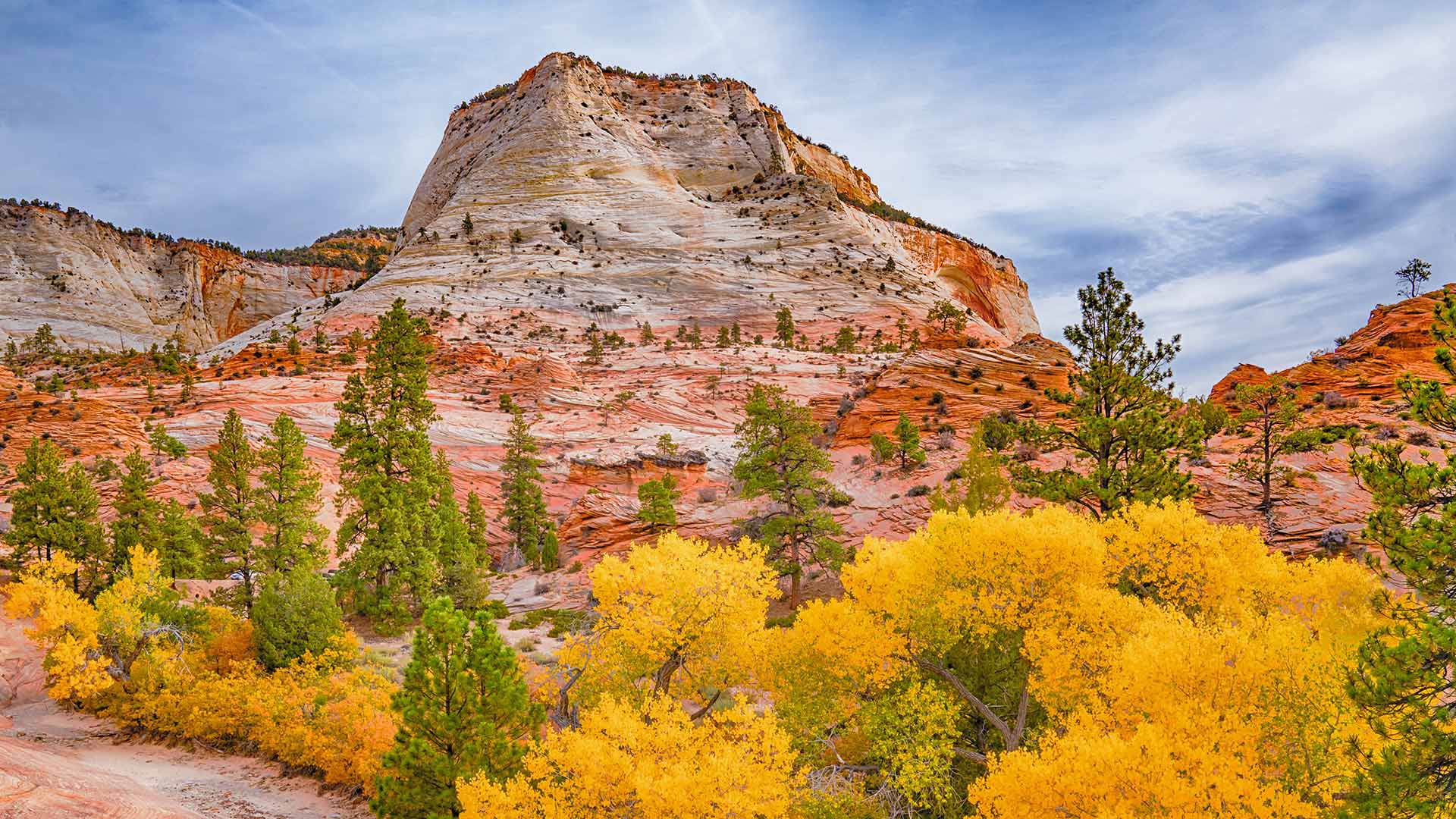 Zion National Park, Utah, USA (© pabradyphoto/Getty Images) desktop wallpaper