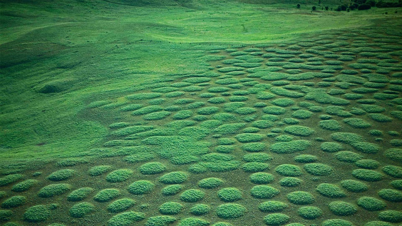Prairie mounds at Oregon’s Zumwalt Prairie (© Michael Durham/Minden Pictures) desktop wallpaper