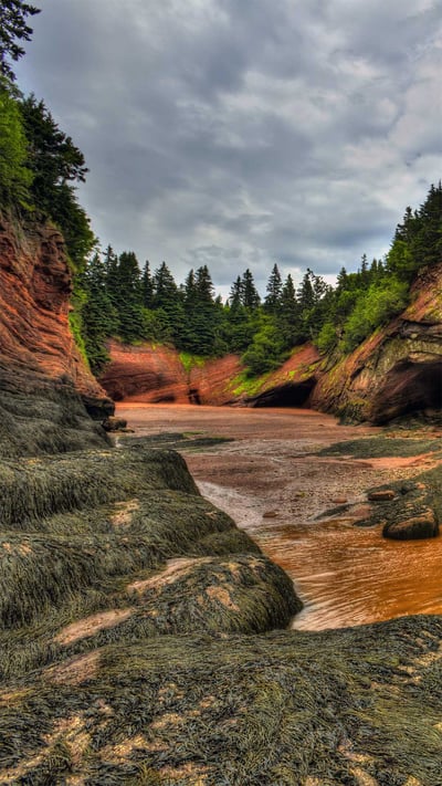 Caves and coastal features at low tide on the Bay of Fundy, near St. Martins, New Brunswick, Canada (© Jamie Roach/Shutterstock) mobile wallpaper