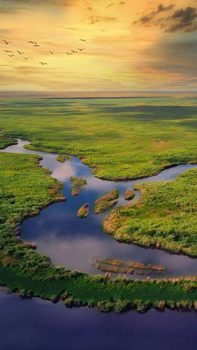 Aerial view of Everglades National Park, Florida (© Robert DelVecchio - OcuDrone/Getty Images) mobile wallpaper