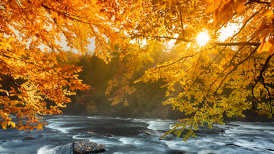 Ontario's wild heart