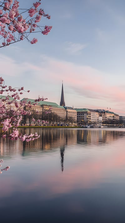 Kirschblüten am Ufer der Alster bei Sonnenuntergang, Hamburg (© Westend61/Getty Images) mobile wallpaper