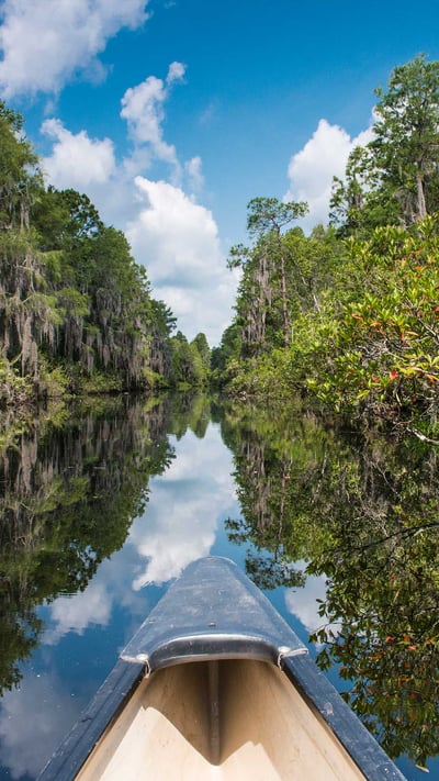 Canoeing in Okefenokee National Wildlife Refuge, Georgia (© Brad Beck/Tandem Stills + Motion) mobile wallpaper