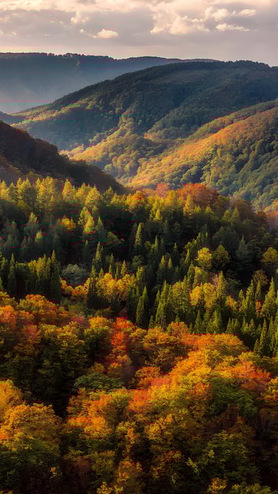 八甲田山の紅葉, 青森県青森市 (© Mekdet/Getty images) mobile wallpaper
