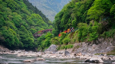 今日は旅の日