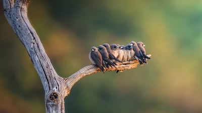 Sticking together