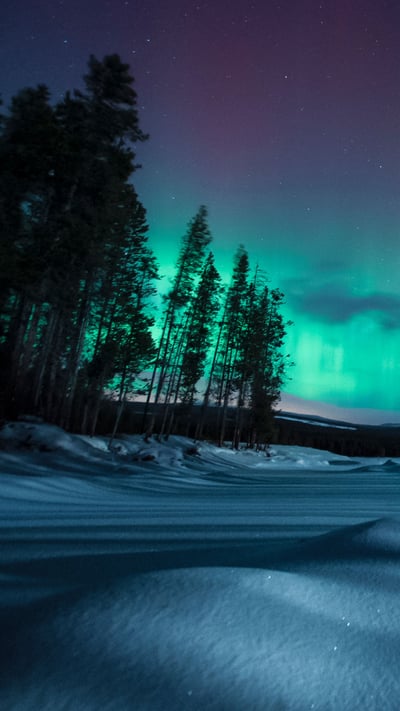 Geomagnetic storm at night, Penticton, British Columbia, Canada (© DEEPOL by plainpicture/Preserved Light Photography) mobile wallpaper