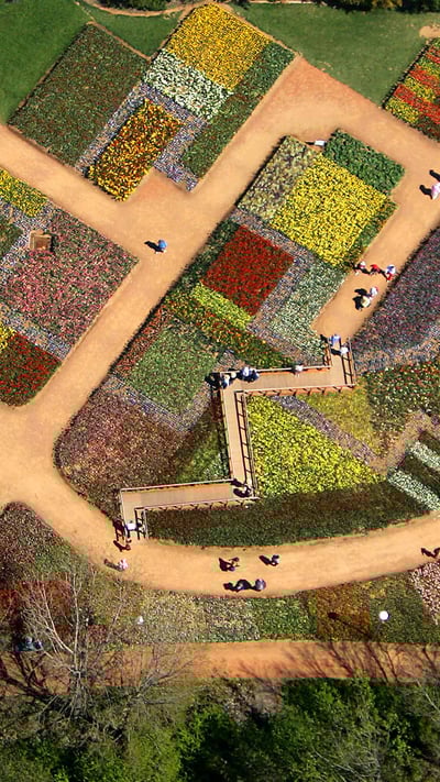 Tourists walk on pathways through a flowerbed design known as ‘The Australian Billabong’ at the Floriade flower festival in Canberra (© REUTERS/TimWimborne) mobile wallpaper