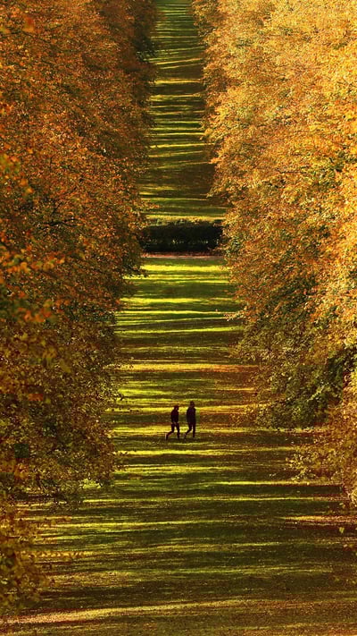 Stormont Estate, Northern Ireland (© Brian Lawless/PA Images/Getty Images) mobile wallpaper