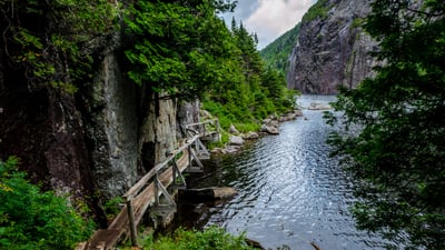 Stream a little dream