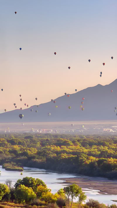 Hot air balloons over the Rio Grande, Albuquerque, New Mexico (© Jennifer MacCornack/Shutterstock) mobile wallpaper