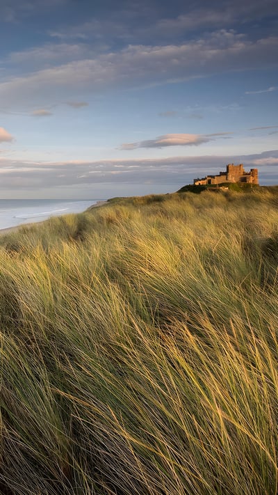 Bamburgh Castle, Northumberland, England (© Blackbeck/Getty Images) mobile wallpaper