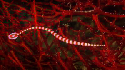 20201223