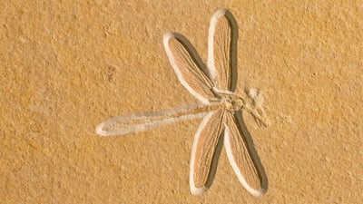 20201014