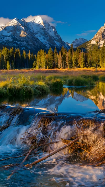 Beaver dam in the Sawtooth National Forest, Idaho (© Charles Knowles/Alamy) mobile wallpaper