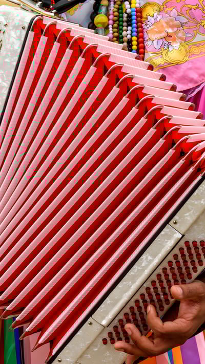 Acordeonista tocando seu instrumento (© Fred_Pinheiro/Getty Images) mobile wallpaper