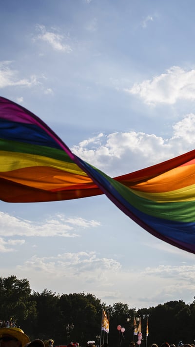Ein Teilnehmer schwenkt die Regenbogen-Flagge auf dem 40. Christopher Street Day vor der Siegessäule am 28. Juli 2018 in Berlin, Deutschland (© Carsten Koall/Getty Images News) mobile wallpaper