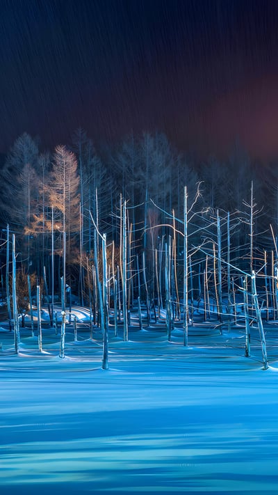 ライトアップされた青い池, 北海道 美瑛町 (© Sean Pavone/Alamy Stock Photo) mobile wallpaper