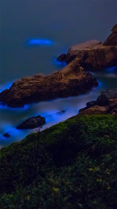Bioluminescent algae along the shores of the Matsu Islands off the coast of Taiwan (© Wan Ru Chen/Getty Images) mobile wallpaper