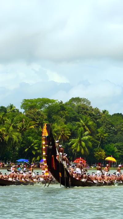 Oarsmen rowing in snake boats at Aranmula, Kerala (© Rajesh Narayanan/Shutterstock) mobile wallpaper